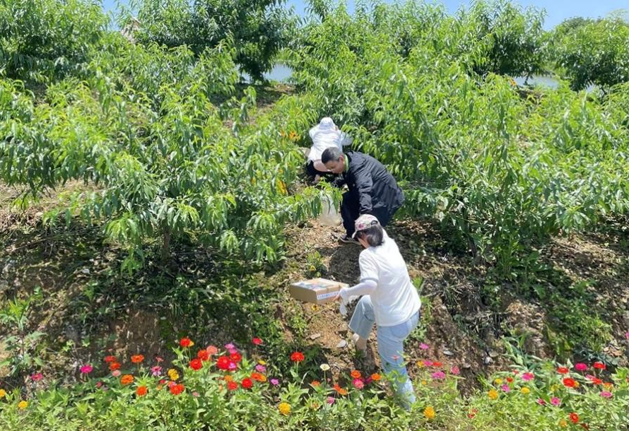 1686531443845322.png 1686531443845322.png