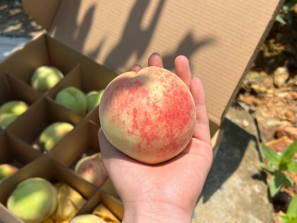 1686531457397703.png 1686531457397703.png