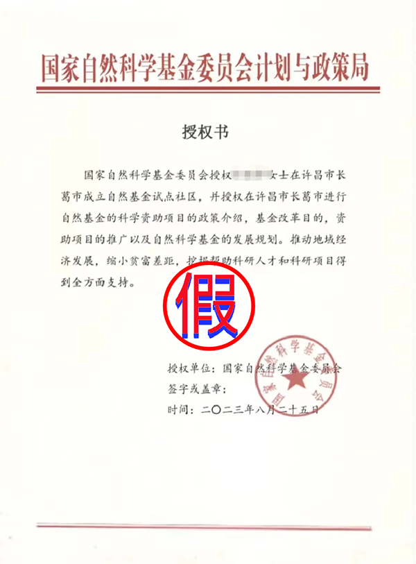 bdc6b2a6-3696-441e-863d-dadadce115e6.jpg